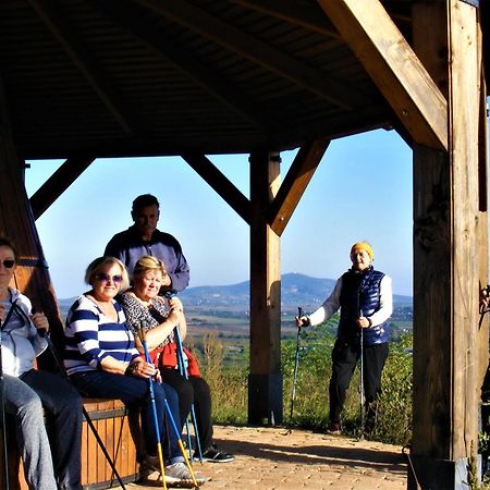 Tokaj Hill Panorama Guesthouse Szerencs Buitenkant foto