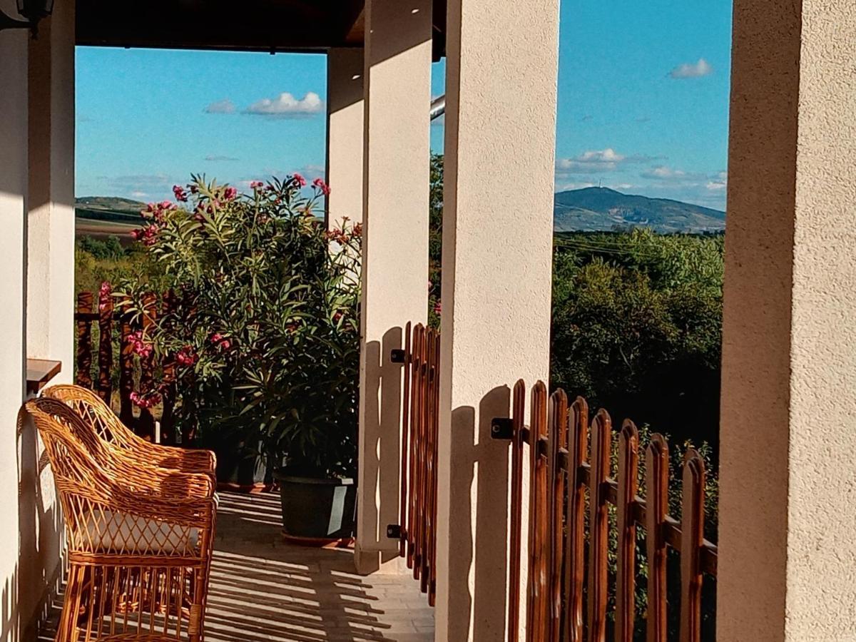 Tokaj Hill Panorama Guesthouse Szerencs Buitenkant foto