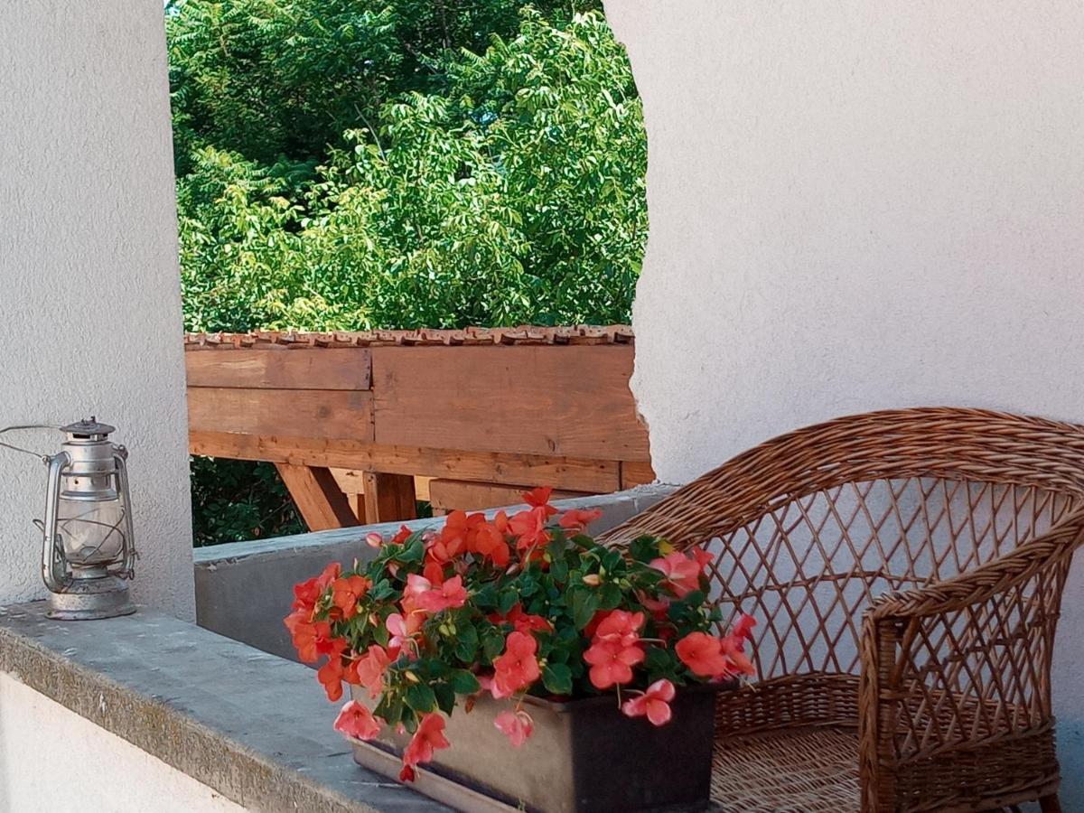 Tokaj Hill Panorama Guesthouse Szerencs Buitenkant foto