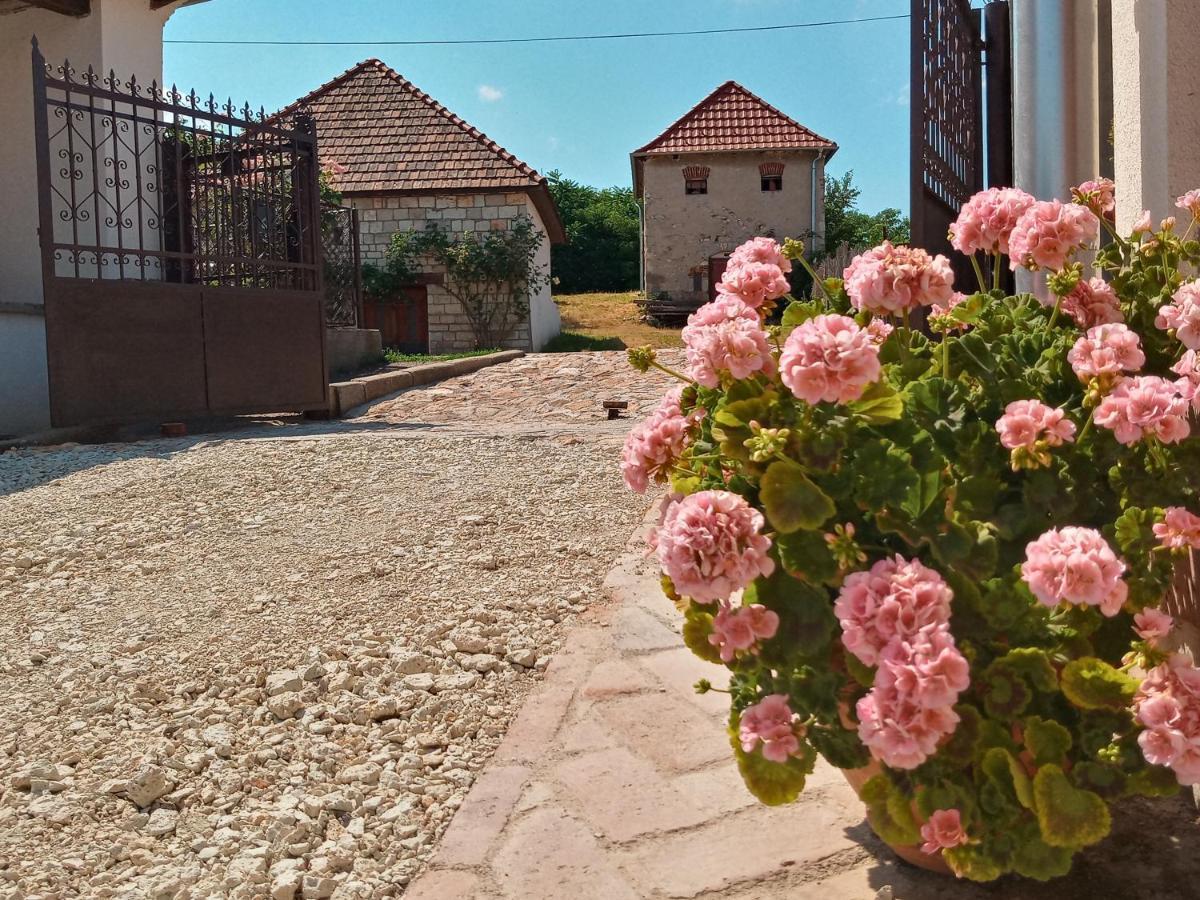 Tokaj Hill Panorama Guesthouse Szerencs Buitenkant foto