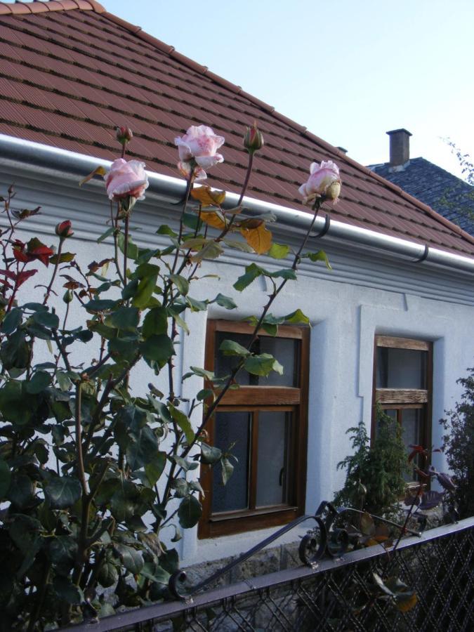 Tokaj Hill Panorama Guesthouse Szerencs Buitenkant foto