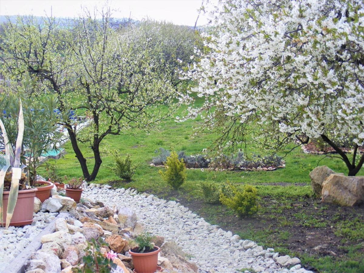 Tokaj Hill Panorama Guesthouse Szerencs Buitenkant foto