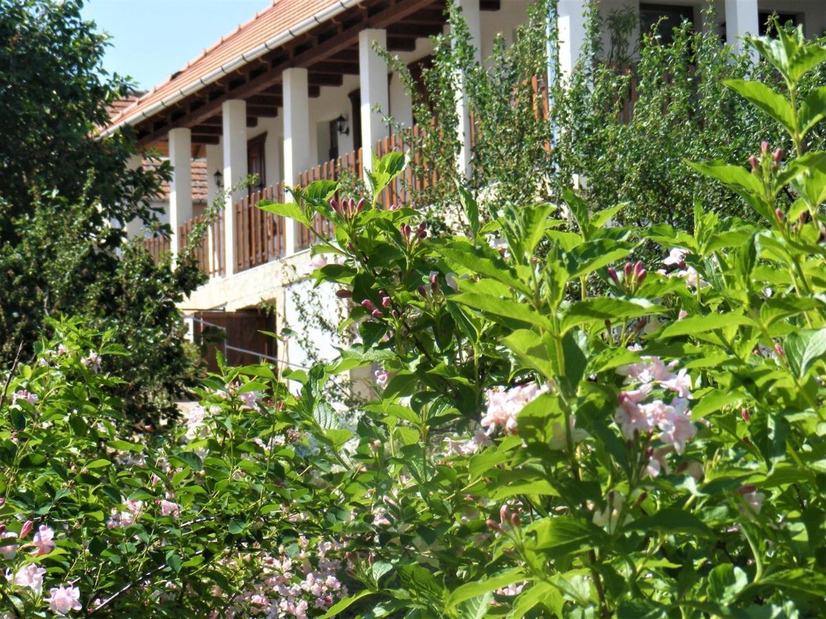 Tokaj Hill Panorama Guesthouse Szerencs Buitenkant foto