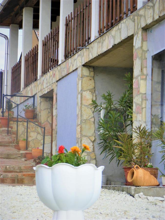 Tokaj Hill Panorama Guesthouse Szerencs Buitenkant foto