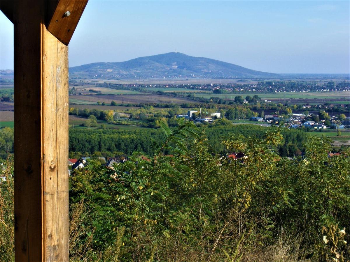 Tokaj Hill Panorama Guesthouse Szerencs Buitenkant foto