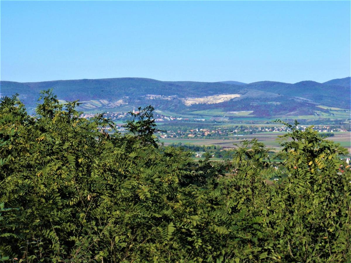 Tokaj Hill Panorama Guesthouse Szerencs Buitenkant foto