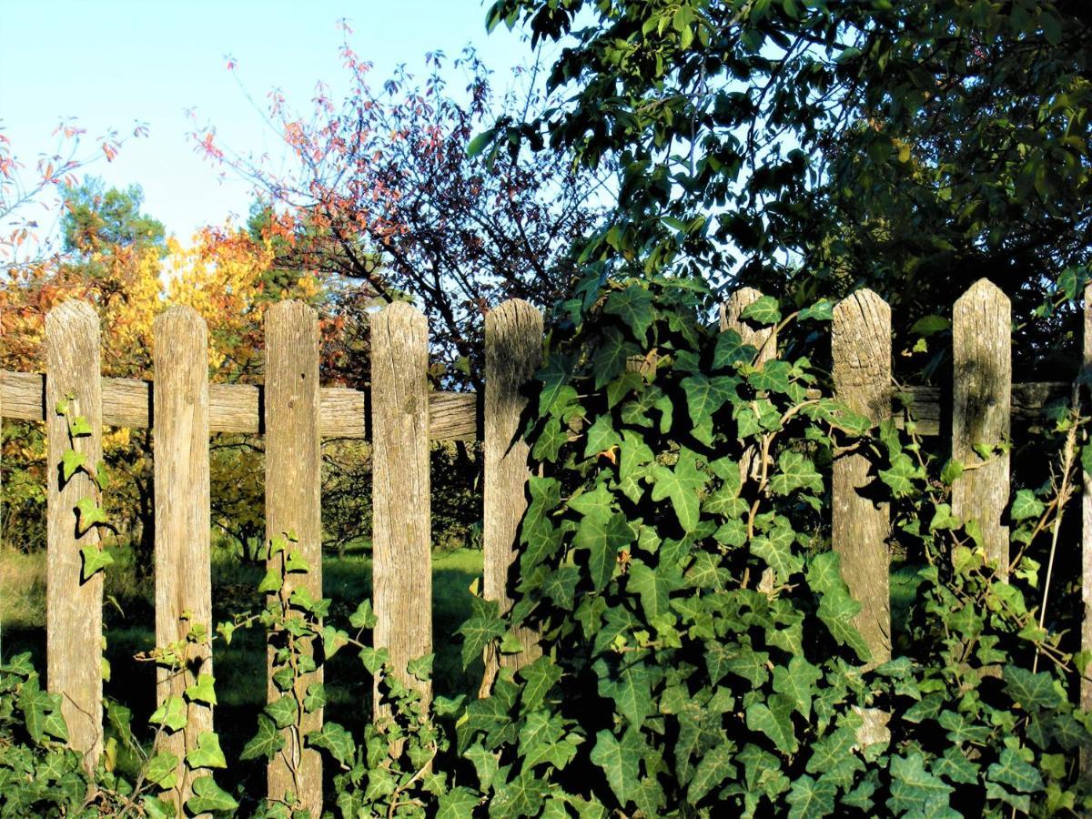 Tokaj Hill Panorama Guesthouse Szerencs Buitenkant foto