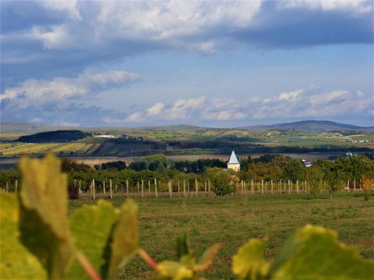 Tokaj Hill Panorama Guesthouse Szerencs Buitenkant foto