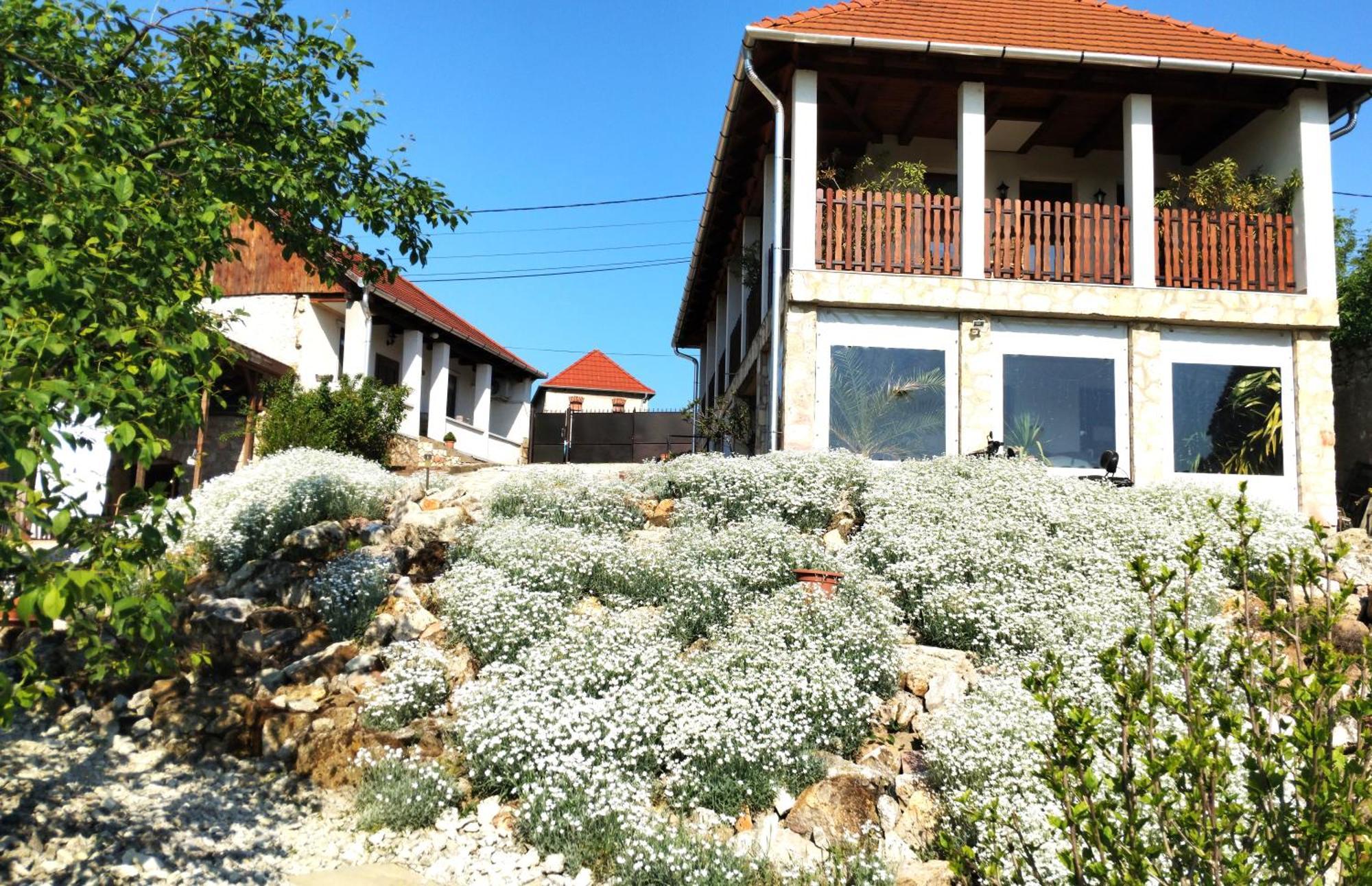 Tokaj Hill Panorama Guesthouse Szerencs Buitenkant foto